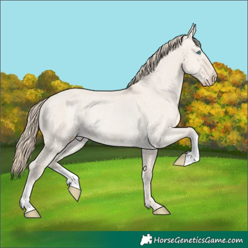 Horse Color:Smoky Creme Dun Rabicano Brindle