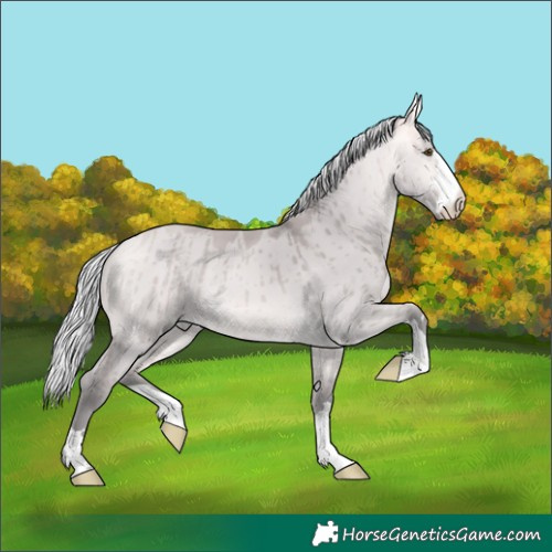 Horse Color:Platinum Silver Buckskin Dun Brindle