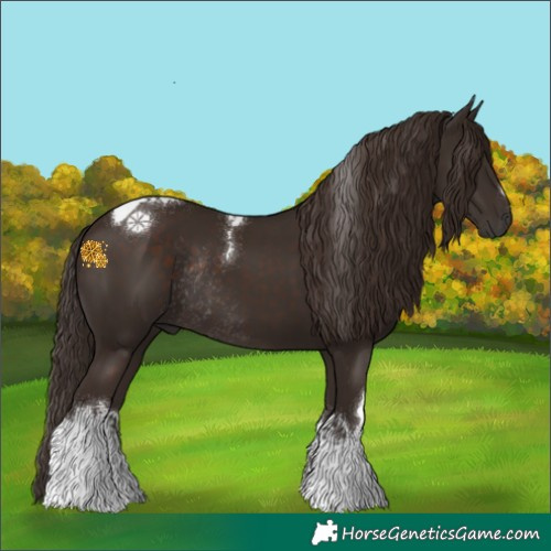 Horse Color:White Spotted Liver Chestnut Tobiano Rabicano