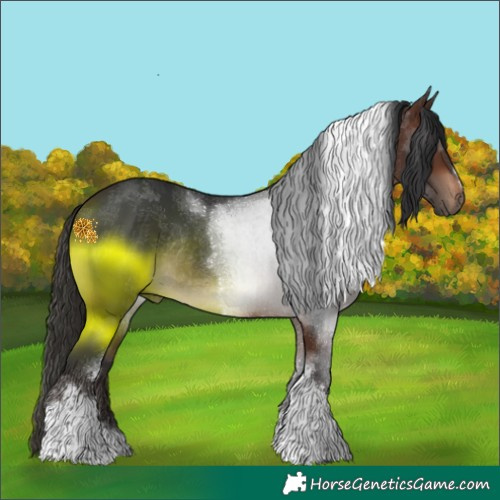 Horse Color:Brown Tobiano Rabicano 