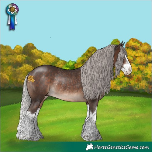 Horse Color:Silver Brown Splash Rabicano 