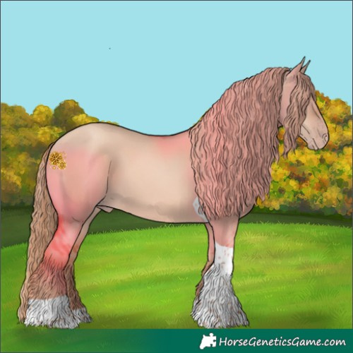 Horse Color:Gold Champagne Dun Tobiano Rabicano