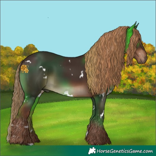 Horse Color:White Spotted Liver Chestnut Rabicano