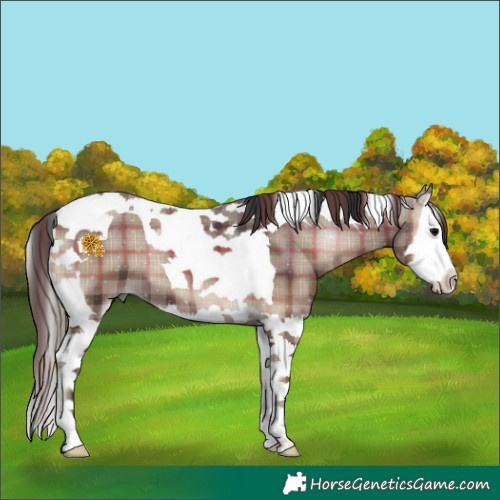 Horse Color:Plaid Blue Onyx Splash Tobiano