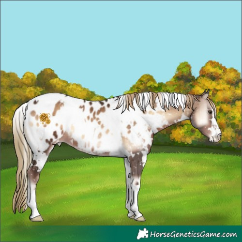 Horse Color:White Spotted Liver Red Onyx Blanket 