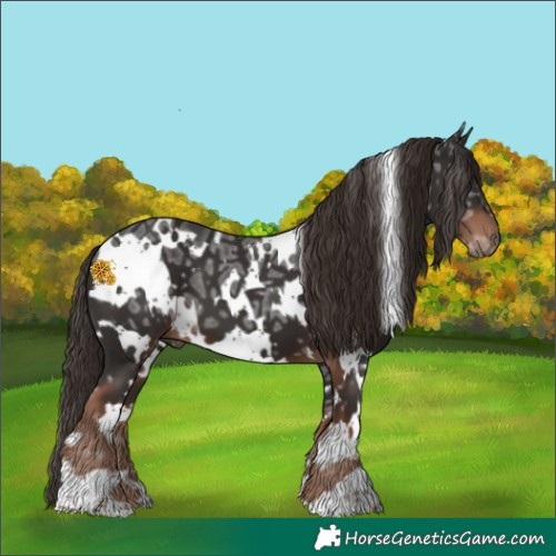 Horse Color:White Spotted Liver Chestnut Ice