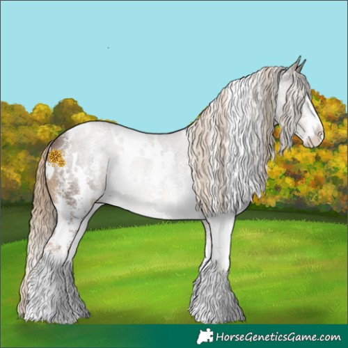 Horse Color:White Spotted Chocolate Palomino Sabino Rabicano 