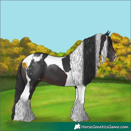 Horse Color:Brown Tobiano Varnish 