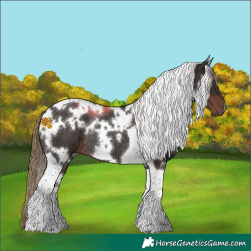 Horse Color:White Spotted Liver Chestnut Tobiano Rabicano 