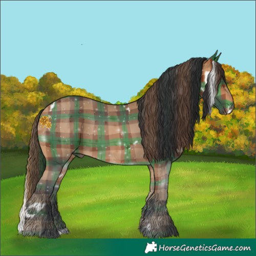 Horse Color:Plaid  White Spotted Bay 