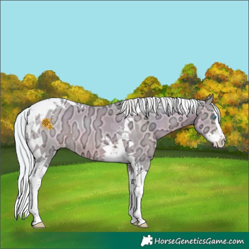 Horse Color:Watercolor Silver Brown Ice Snowdrop Pearl Splash Tobiano 