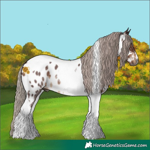 Horse Color:Gray Chocolate Silver Brown Tobiano Near Leopard 