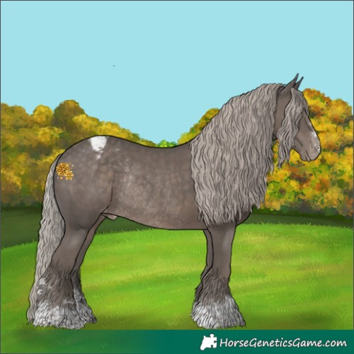 Horse Color:Silver Black Varnish Rabicano