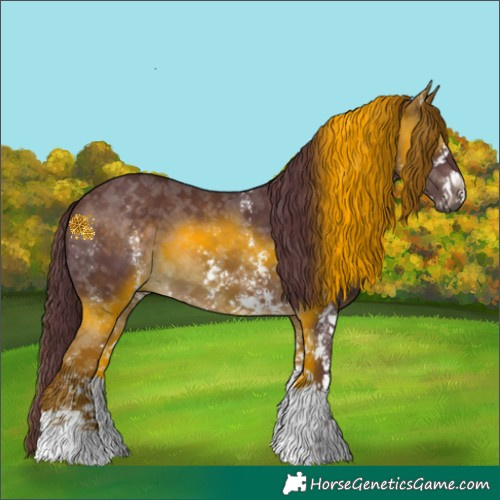 Horse Color:Platinum Chocolate Brown Sabino