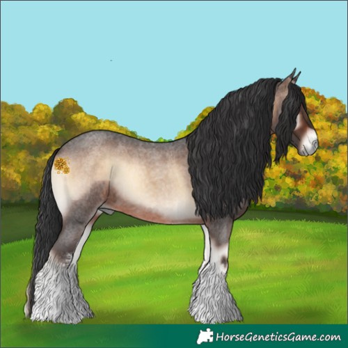 Horse Color:White Spotted Brown Roan Onyx