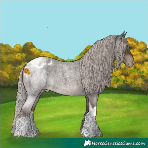 Horse Color:Silver Blue Roan Tobiano Blanket Rabicano 