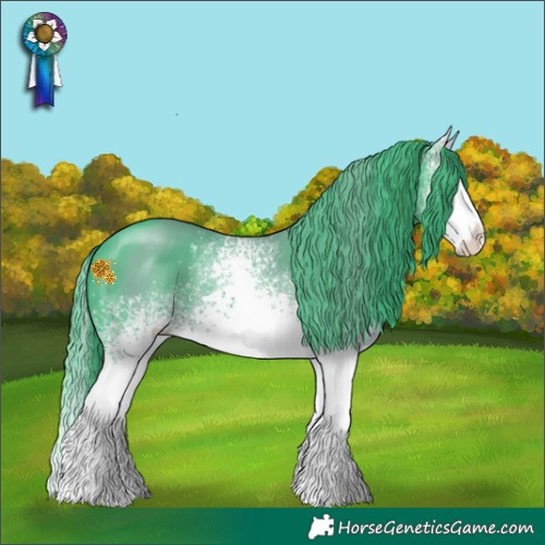 Horse Color:Watercolor White Spotted Black Splash