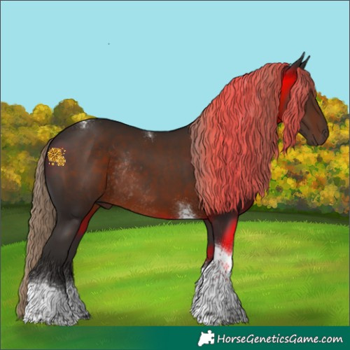 Horse Color:Liver Chestnut Tobiano Rabicano