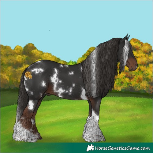 Horse Color:White Spotted Liver Chestnut Tobiano 