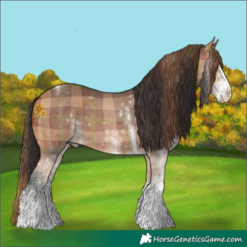 Horse Color:Plaid White Spotted Bay Tobiano