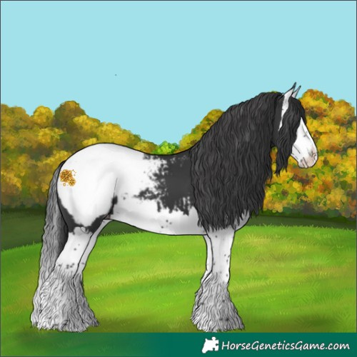 Horse Color:Black Splash Snowcap