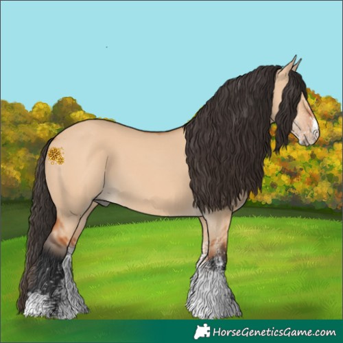 Horse Color:White Spotted Bay Dun 