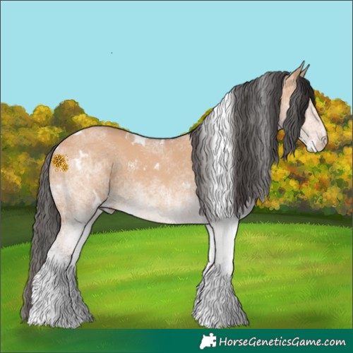 Horse Color:White Spotted Bay Dun 
