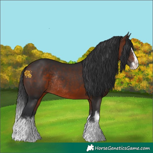 Horse Color:White Spotted Brown Splash Rabicano