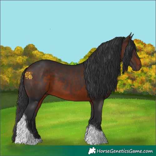 Horse Color:Brown Tobiano 