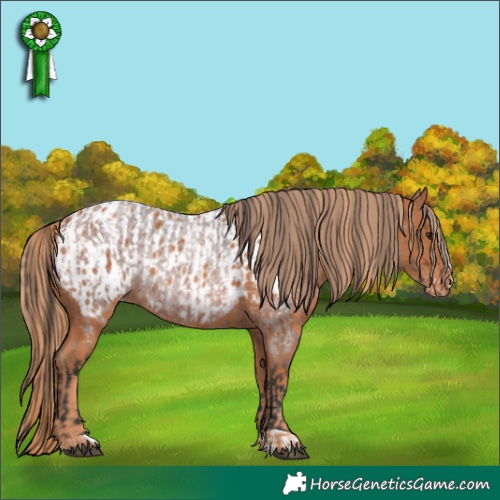 Horse Color:Bay Roan  and Chestnut Blanket 