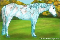 Horse Color:Thunderstruck Chestnut Sabino 