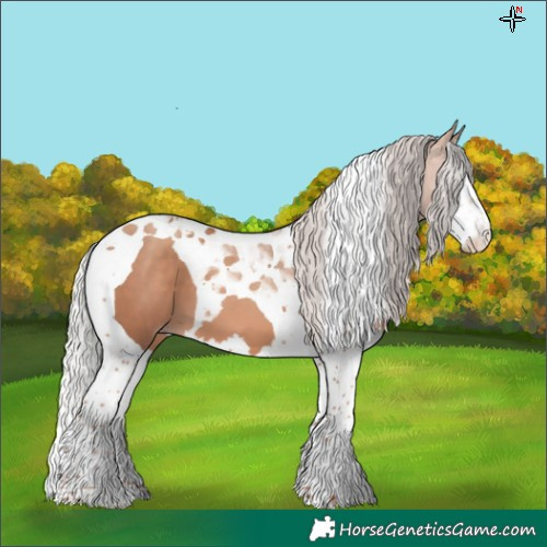 Horse Color:Silver Sable Champagne Splash Tobiano
