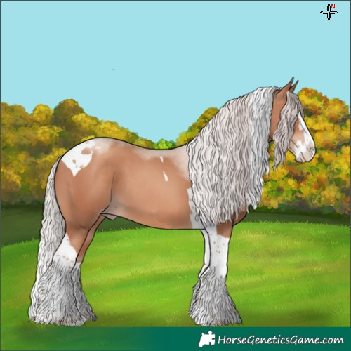 Horse Color:Silver Classic Champagne Splash Tobiano