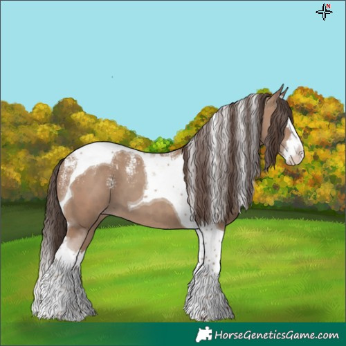 Horse Color:Powder White Classic Champagne Splash Tobiano