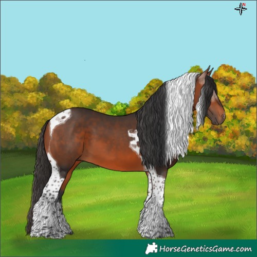Horse Color:Bay Tobiano