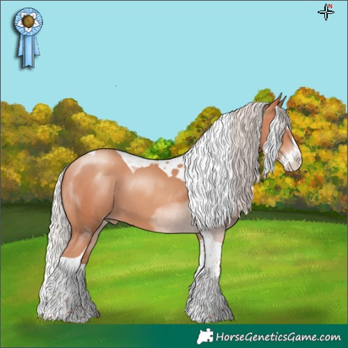 Horse Color:Silver Amber Champagne Splash Tobiano