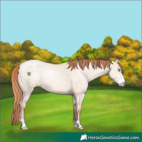 Horse Color:Classic Champagne Pearl Dun Sabino 
