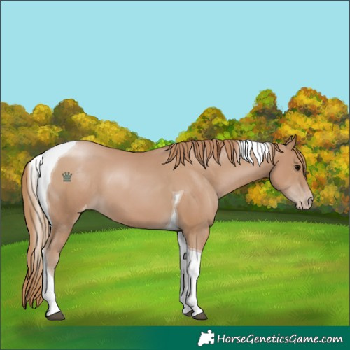 Horse Color:Black Pearl Tobiano Varnish 