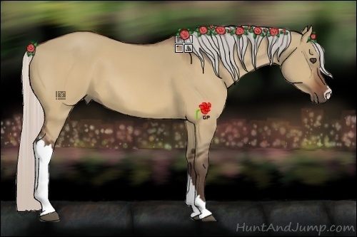 Horse Color:Silver Bay Dun 