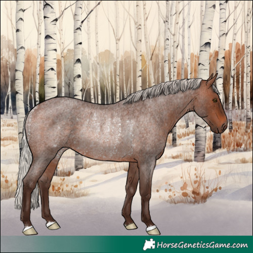 Horse Color:Silver Brown Roan Rabicano