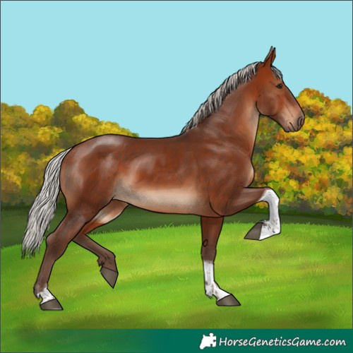 Horse Color:Silver Bay Tobiano 