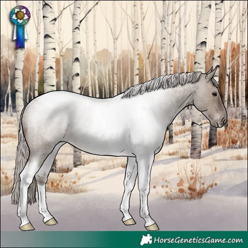 Horse Color:Silver Grullo Roan Tobiano Rabicano