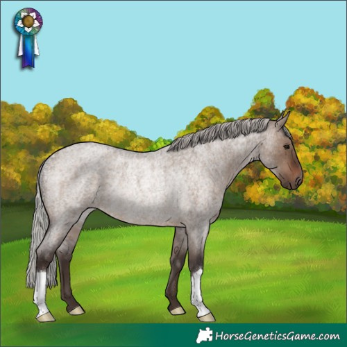 Horse Color:Silver Brown Roan Dun Rabicano 