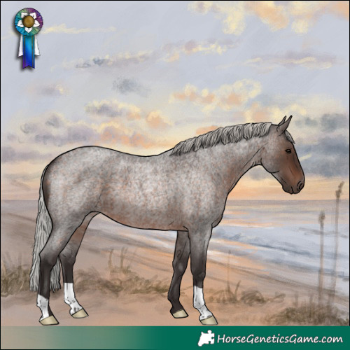Horse Color:Silver Brown Roan