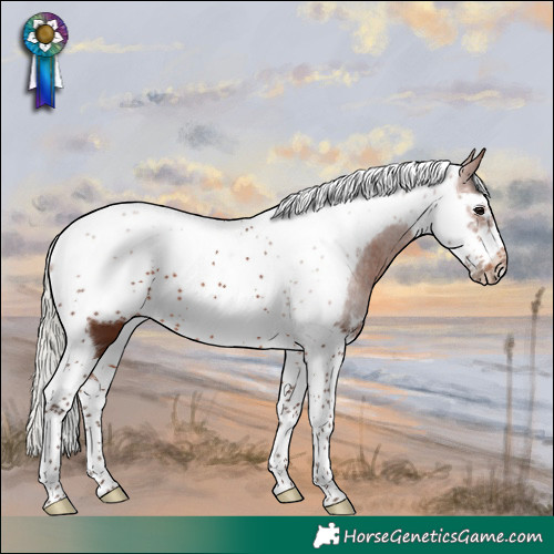 Horse Color:Silver Brown Tobiano Frame