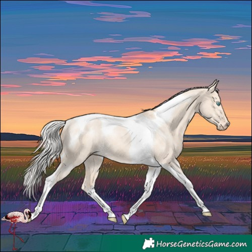 Horse Color:Silver Perlino Dun Tobiano Rabicano