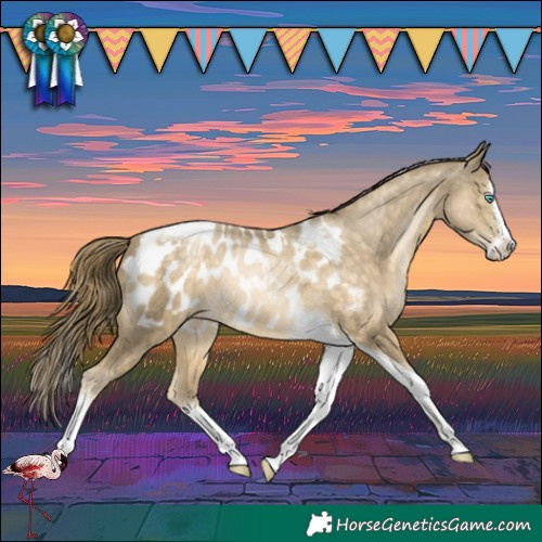 Horse Color:Buckskin Pearl Splash Tobiano Blanket Rabicano