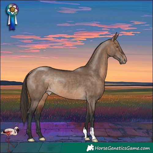 Horse Color:Brown Dun Varnish Rabicano
