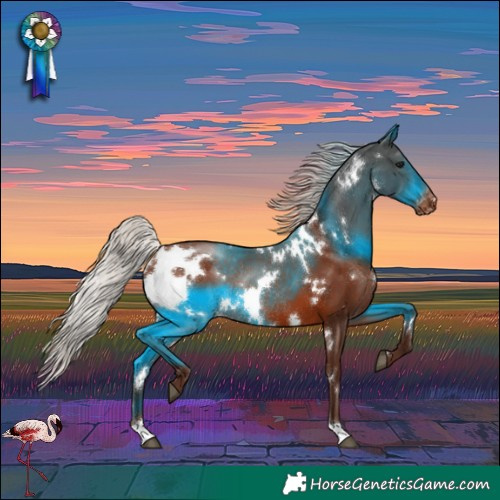Horse Color:White Spotted Silver Bay Varnish Rabicano