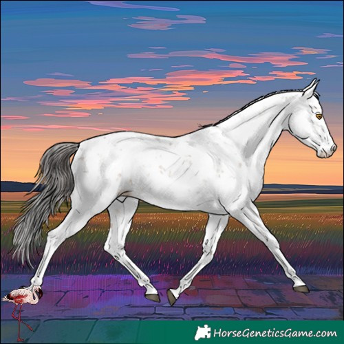 Horse Color:Brown Dun Sabino 